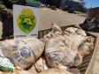Barco com meia tonelada de agrotóxicos é apreendida em Pato Bragado durante a Operação Hórus