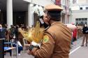 Governador participa de troca de Comando do Corpo de Bombeiro e entrega novas viaturas em Curitiba