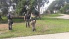 Polícia Ambiental presta apoio na remoção de tigre da Malásia e papagaios para o Zoológico de Curitiba