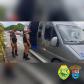 Polícia Rodoviária fiscaliza acesso ao Litoral com cães de faro e apreende maconha e ecstasy durante a Operação Vida
