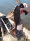 Batalhão Ambiental apreende diversos materiais de pesca e caça ilegal no Alagado de Salto Santiago, no Sudoeste do estado