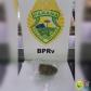 Cães de faro da Polícia Rodoviária localizam drogas em ônibus de viagem e dois homens são encaminhados no litoral