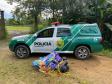 Polícia Ambiental apreende balão de sete metros que caiu em meio à mata, nas margens da BR 277