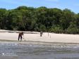 Batalhão Ambiental apreende rede de pesca na Ilha das Peças