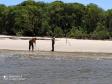 Batalhão Ambiental apreende rede de pesca na Ilha das Peças