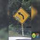 Durante Operação Vida, Polícia Rodoviária encaminha dois envolvidos por pichação em placas de sinalização em Morretes (PR)