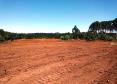 Trio é autuado em quase R$ 100 mil por destruição de vegetação nativa em Guarapuava (PR)