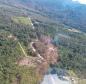 Polícia Ambiental identifica 13 pontos com corte de vegetação nativa em Guaratuba (PR)
