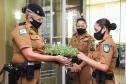Policiais militares femininas do Quartel do Comando-Geral da PM são homenageadas no Dia Internacional da Mulher