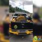 BPRv apreende mais de 600 quilos de maconha e recupera carro furtado no Noroeste do estado