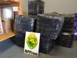 BPFron recupera carro roubado carregado com 262 quilos de insumo para suplementos contrabandeados em Cascavel (PR)