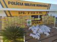 Maior apreensão de maconha do ano é localizada pelo BPRv em meio à carga de sementes