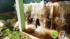No Noroeste do estado, PM apreende quase 30 metros de rede e quase 500 quilos de peixes durante fiscalização da Piracema