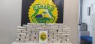 Carro com 48 quilos de crack é apreendido ao chegar em Curitiba 