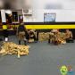 Carro abandonado em milharal é apreendido com 612 quilos de maconha em Doutor Camargo