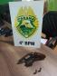 Durante final de semana, PM encaminha 12 pessoas por crimes diversos, apreende drogas e armas de fogo no Noroeste do Paraná