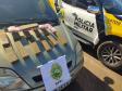 Denúncia via 190 auxilia PM a prender suspeito de ameaçar matar família em Palmas (PR)