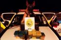 Apreensão de drogas com uso de cães da PM aumenta em quase 1.000% no Paraná