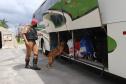 Apreensão de drogas com uso de cães da PM aumenta em quase 1.000% no Paraná