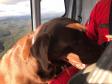 BPMOA encontra mulher perdida no Canyon Guartelá, nos Campos Gerais