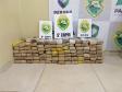 Mais de 100 quilos de maconha são apreendidos pela PM em Cascavel e Foz do Iguaçu pela Operação Pronta Resposta IV