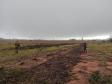 Polícia Ambiental e IAT encaminham aves feridas por chuva de granizo em Santa Mônica, no Noroeste do estado