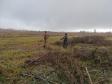 Polícia Ambiental e IAT encaminham aves feridas por chuva de granizo em Santa Mônica, no Noroeste do estado