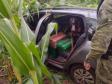 Mais de 1,3 tonelada de maconha é apreendida durante Operação Hórus, no Oeste do Paraná