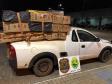 No âmbito da Operação Hórus, Polícia da Fronteira apreende 32 pneus contrabandeados e 7,5 mil pacotes de cigarros em situação ilegal, em Terra Roxa (PR)