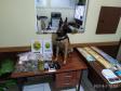 Em ocorrências distintas, PM apreende maconha, crack, ecstasy e dinheiro e encaminha suspeitos no Sudeste do PR