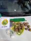 Em ocorrências distintas, PM apreende maconha, crack, ecstasy e dinheiro e encaminha suspeitos no Sudeste do PR