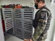 Estado identifica criador ilegal de ouriços em Guarapuava; homem recebeu multa de R$ 13,4 mil