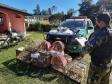 Polícia Ambiental apreende quatro armas e 12 pássaros silvestres em Rio Negro (PR)