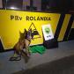 Mulher é presa com 10 quilos de maconha pelo BPRv em Rolândia, no Norte do estado