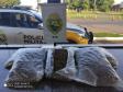 BPRv apreende uma tonelada de maconha e skunk no Noroeste do PR neste fim de semana