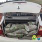 BPRv localiza 61 quilos de skunk durante abordagem em Floresta (PR)
