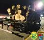 Policiais militares do 3º Batalhão e do Batalhão Ambiental apreenderam um caminhão carregado com madeira de araucária