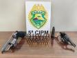 Em situações distintas, PM apreende seis armas de fogo no Noroeste do estado