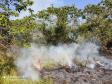 Polícia Ambiental contém incêndio no Parque Nacional de Ilha Grande durante patrulhamento de rotina