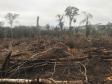 Duas pessoas são autuadas em mais de R$ 120 mil por destruir vegetação nativa em Quedas do Iguaçu, no Sudoeste do Paraná