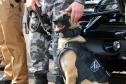 Criação do Batalhão de Polícia de Choque reforça estratégia da Polícia Militar contra o crime organizado