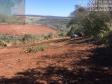 Oito pessoas são presas durante a operação Casca Grossa da Polícia Ambiental, no Norte do estado