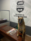 Na RMC, cães de faro do BPChoque indicam drogas e cinco suspeitos são presos