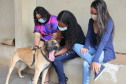 Equipe de Operações com Cães recebe admiradora da PM em Jacarezinho (PR)