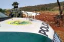 Batalhão Ambiental aplicou R$ 60,2 milhões em multas e atendeu 14 mil ocorrências em 2021