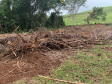 Polícia Ambiental apreende armamento e localiza desmatamento em Matelândia (PR)