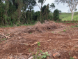 Polícia Ambiental apreende armamento e localiza desmatamento em Matelândia (PR)