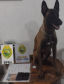 Em diferentes cidades, policiais rodoviários estaduais apreendem 200 quilos de maconha, porções de crack e equipamentos eletrônicos