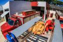 Primeiro grupo de bombeiros paranaenses e cães de faro viaja para Petrópolis