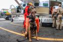Governo do Paraná envia 10 bombeiros e cães para buscas a desaparecidos em Petrópolis